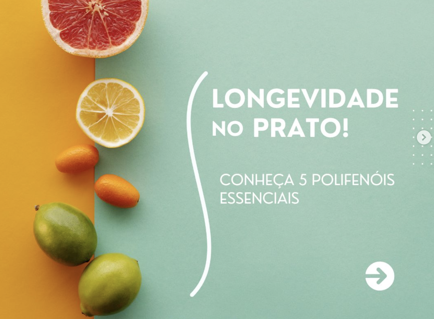 A Longevidade está no prato – conheça os alimentos essenciais